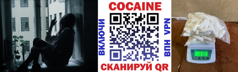 Cocaine FishScale  как найти   Новоалександровск 
